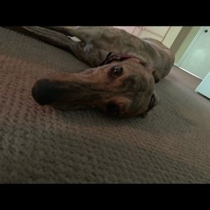 Meet your Posher, Andrew